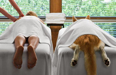 People and Paws 